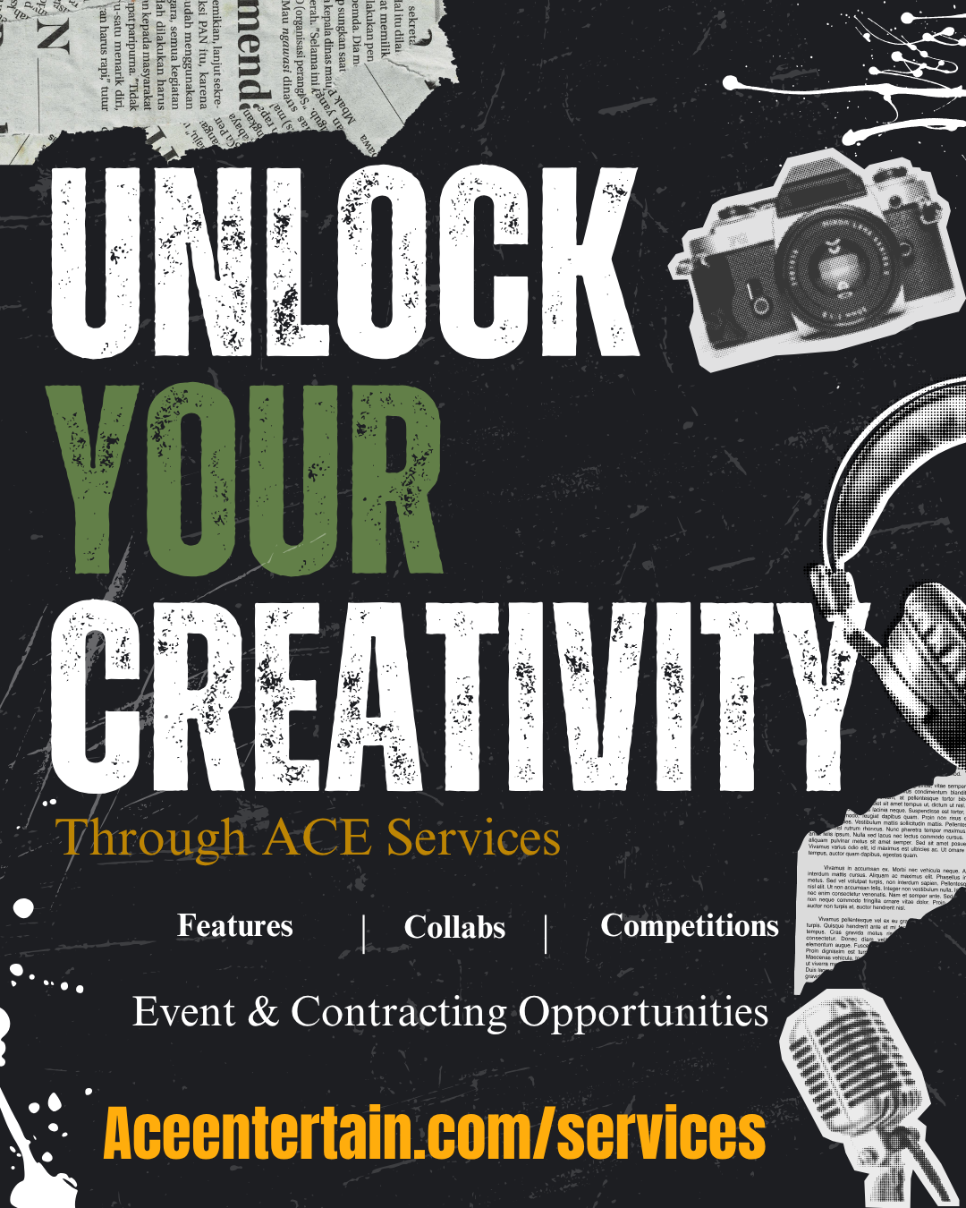 ACE Contractor Application